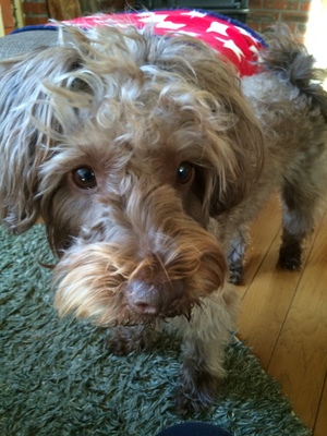 遣り方出しと誕生日