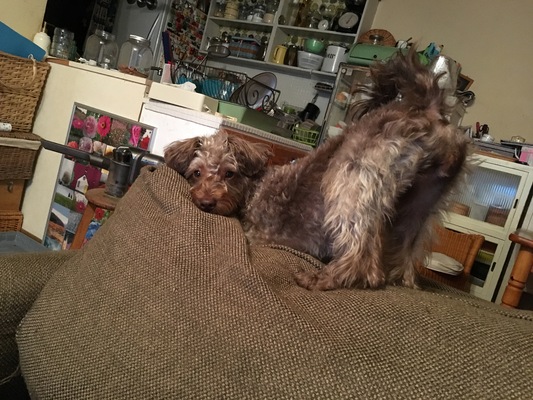 各現場の進捗状況です。