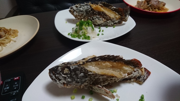 新発田市　新築完成見学会