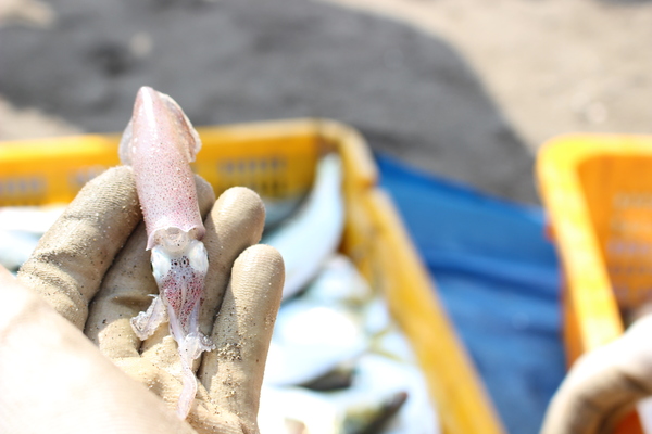 感謝祭 有難う御座いました!!