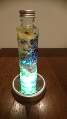 今週末の見学会