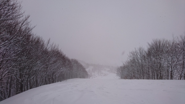 大雪の正月です