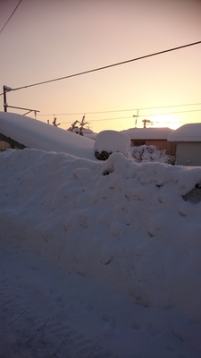 今日明日はセンター試験！