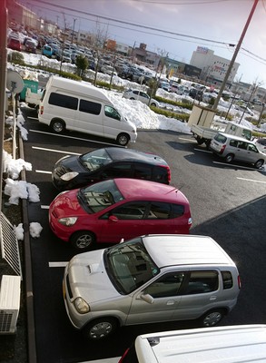 今週末の見学会