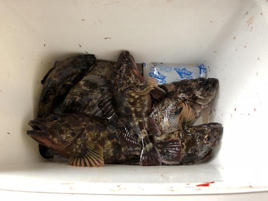 SUPフィッシング