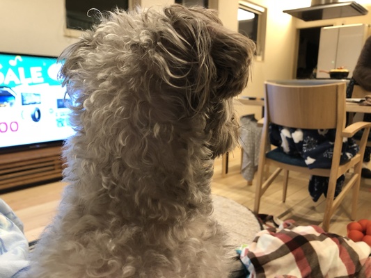 長岡市でZEH新築住宅着工です