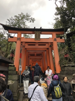 京都の素晴らしい世界遺産