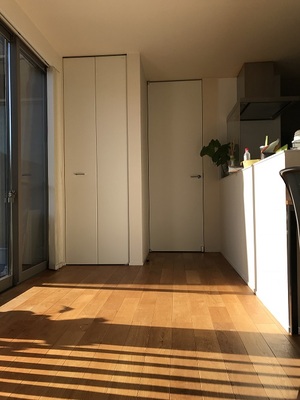 自宅の太陽光実績を公開します！⑧