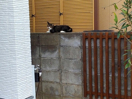 連休中は、4会場にて内覧会を開催!