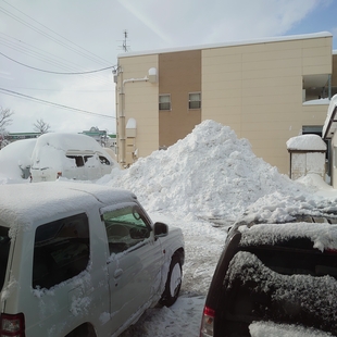 新潟市も大雪です。。。