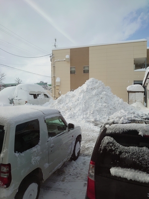 新潟市も大雪です。。。