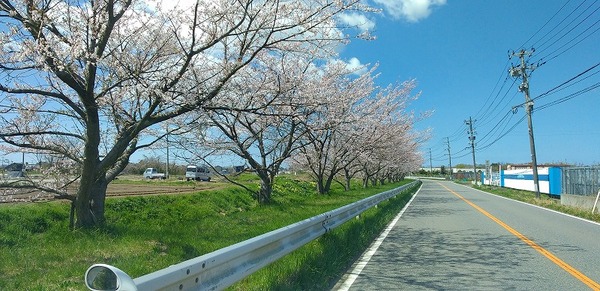 補助金活用！高性能住宅新築モデルハウス！２会場の販売会