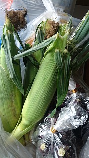 明日はお客様感謝祭!