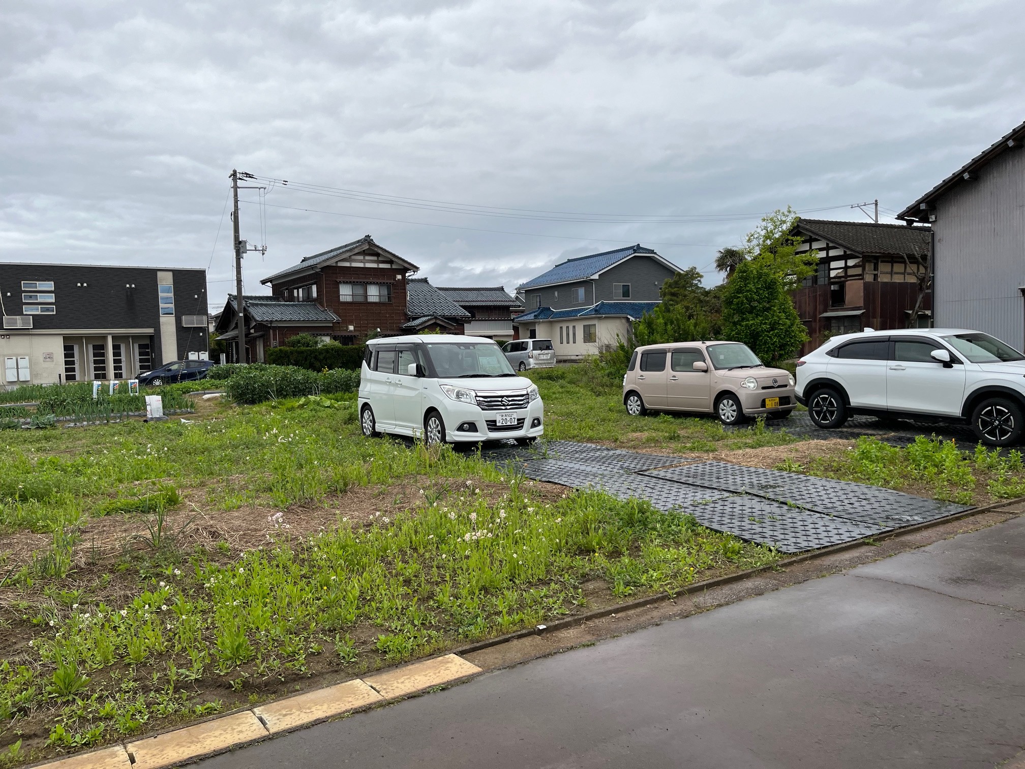 image1.jpeg