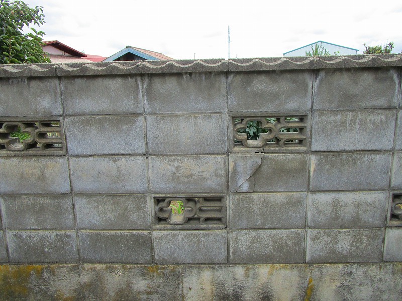 99      IMG_6606.jpg