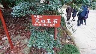 DSC_1345.jpg