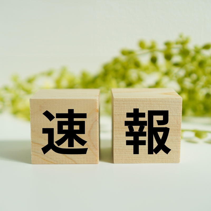 景様ご確認用ページ AIを搭載した広告表現チェックサービス | 広告チェックAI